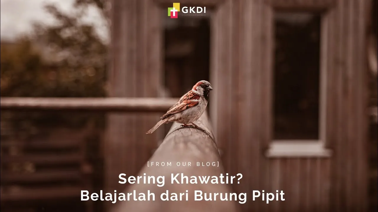 Do You Often Worry? Learn from the Sparrow